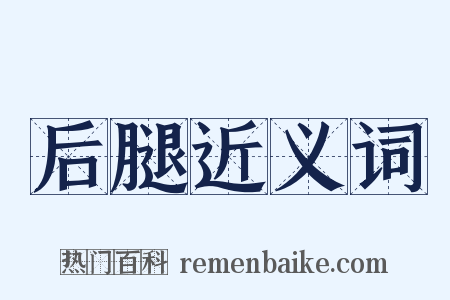后腿近义词是什么意思的图片